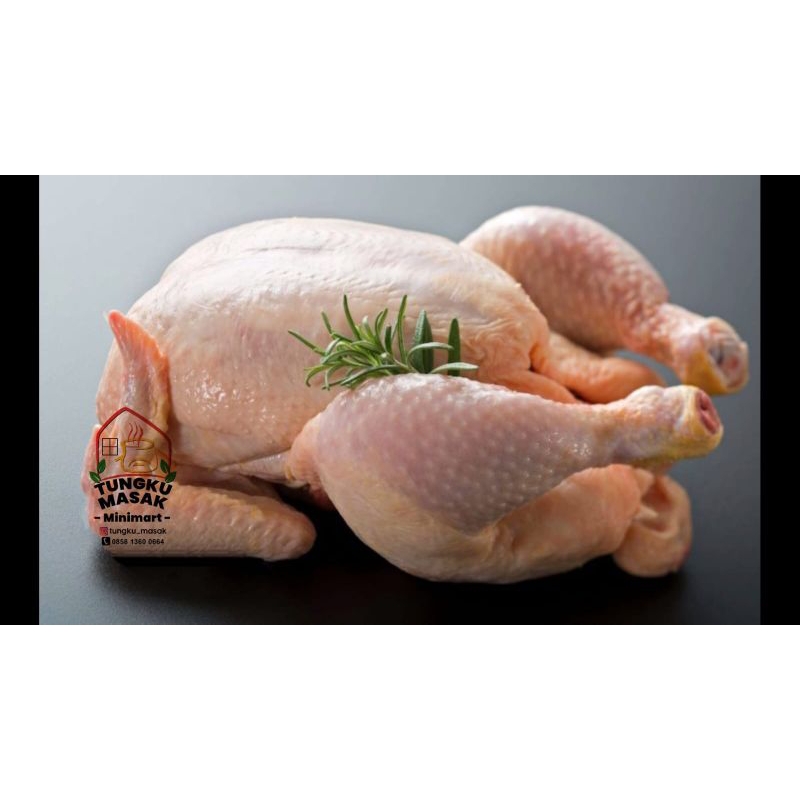 

Ayam Broiller 800-900gr