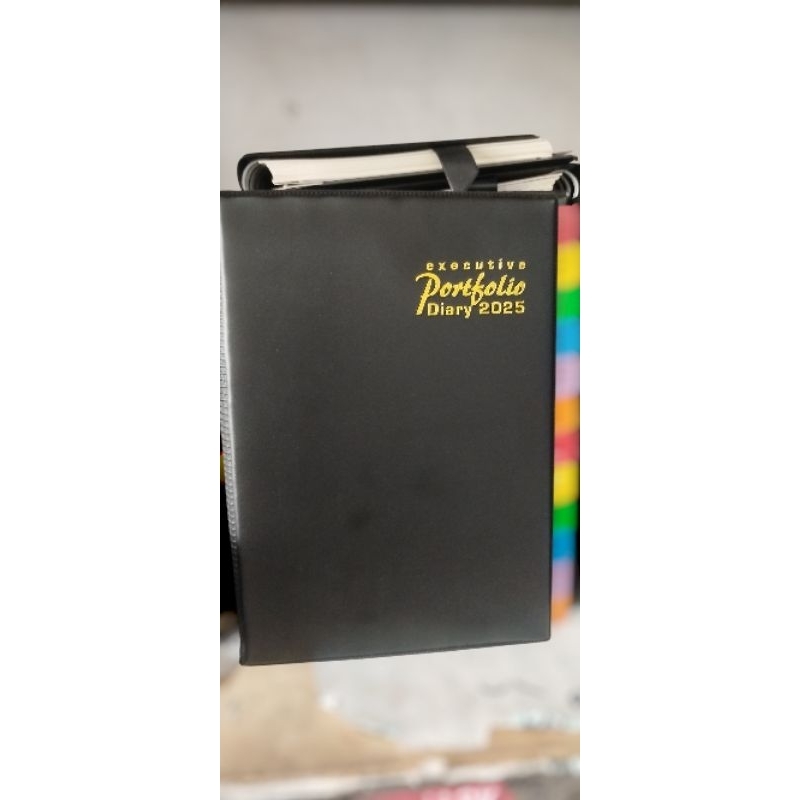 

Executive Portfolio Diary 2025