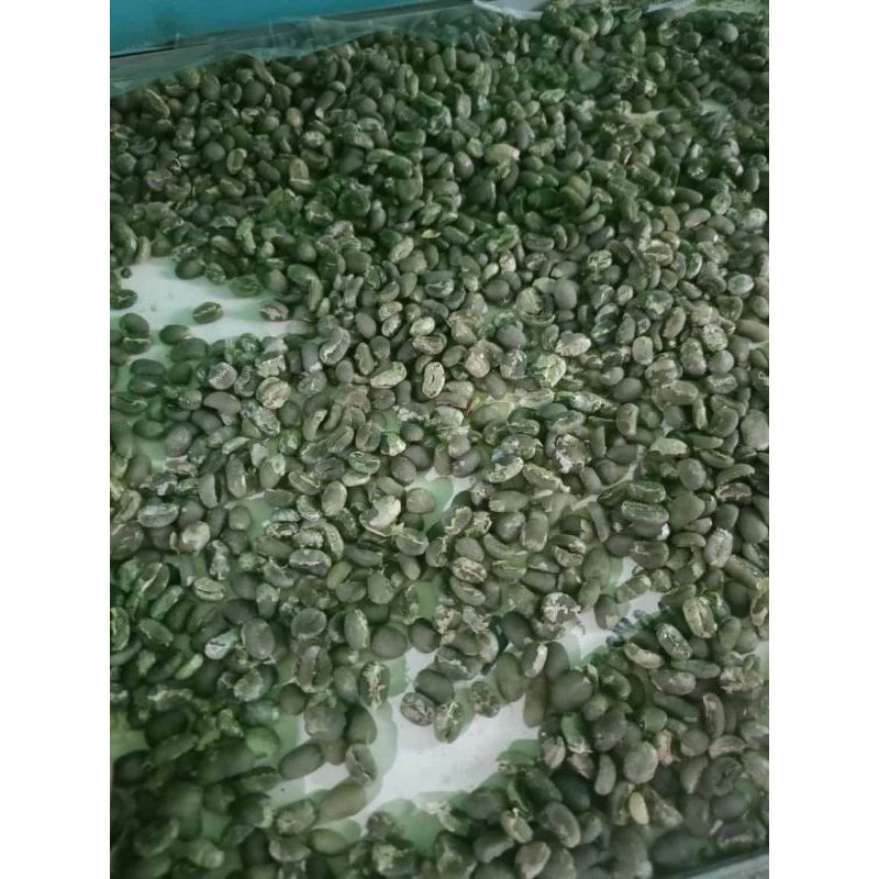 

Green bean arabica Gayo