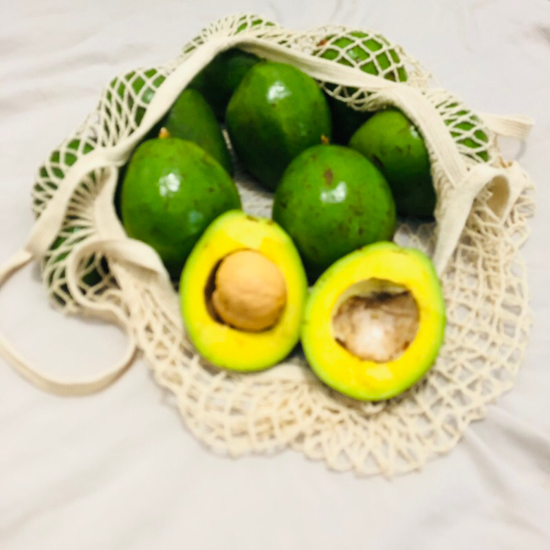 

Alpukat Mentega Malang 1 Kg - Best Grade Avocado