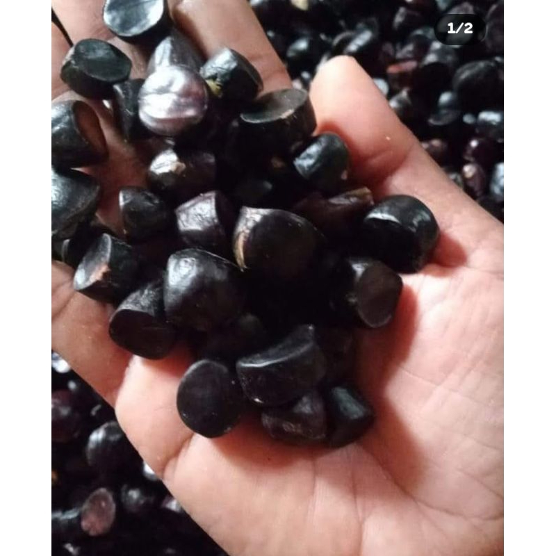

500 GR KABAU JOLANG JALING PALEMBANG