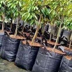 Planter bag 35 liter