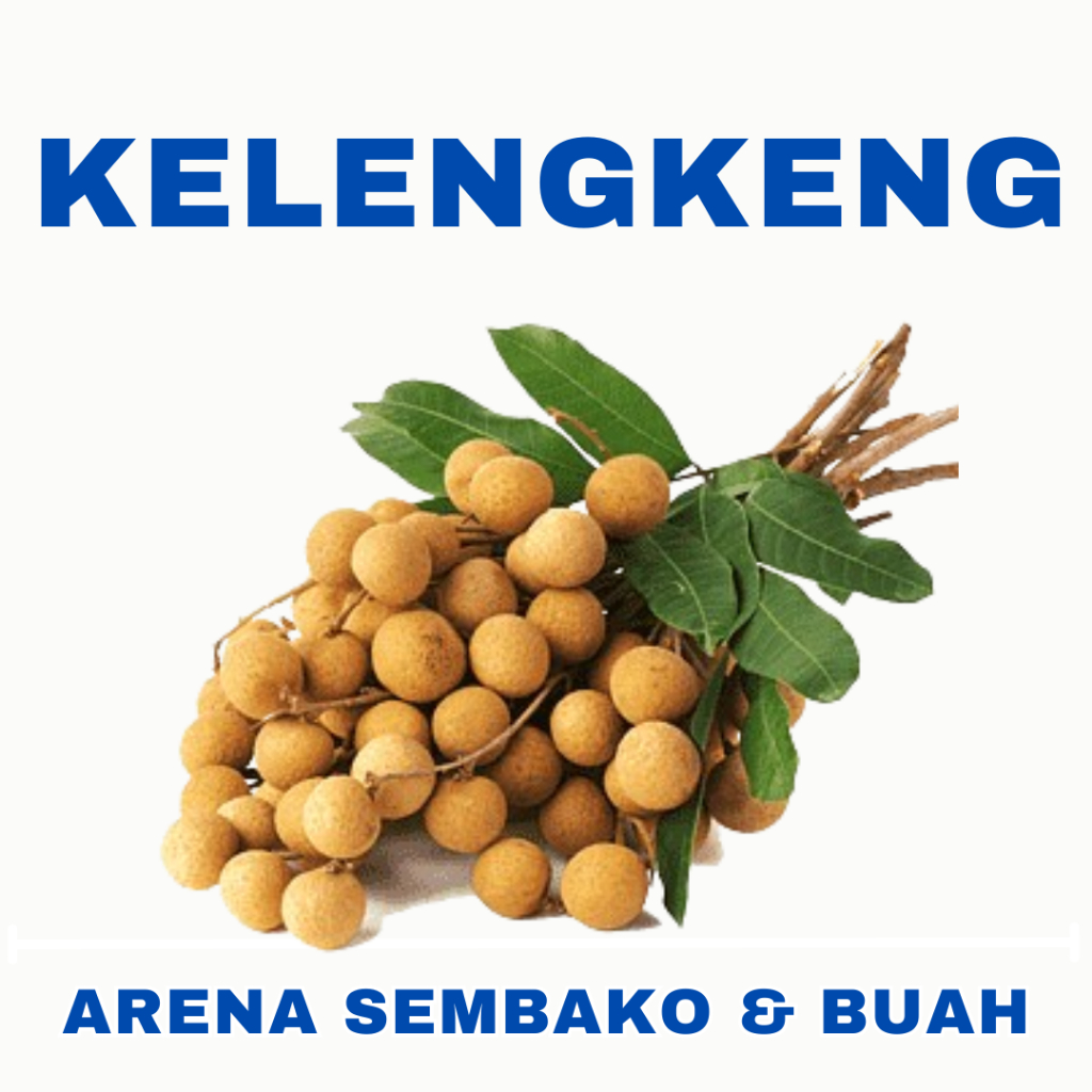 

(BISA COD) PROMOO KELENGKENG 1KG ARENA BUAH CIKARANG