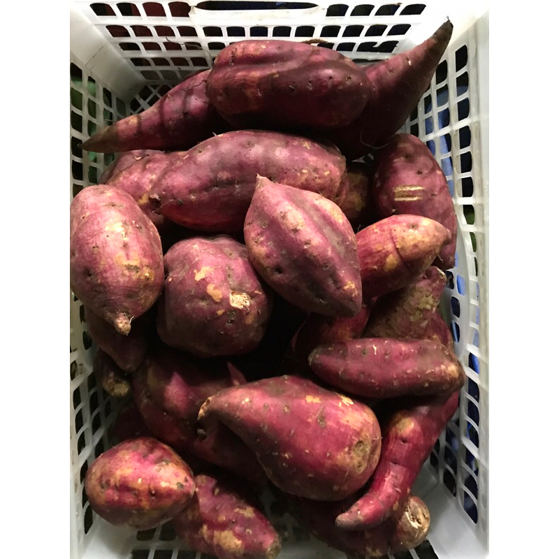 

Ubi merah Fresh 500 Gram