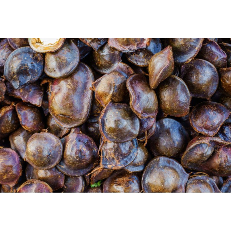 

jengkol 10 biji