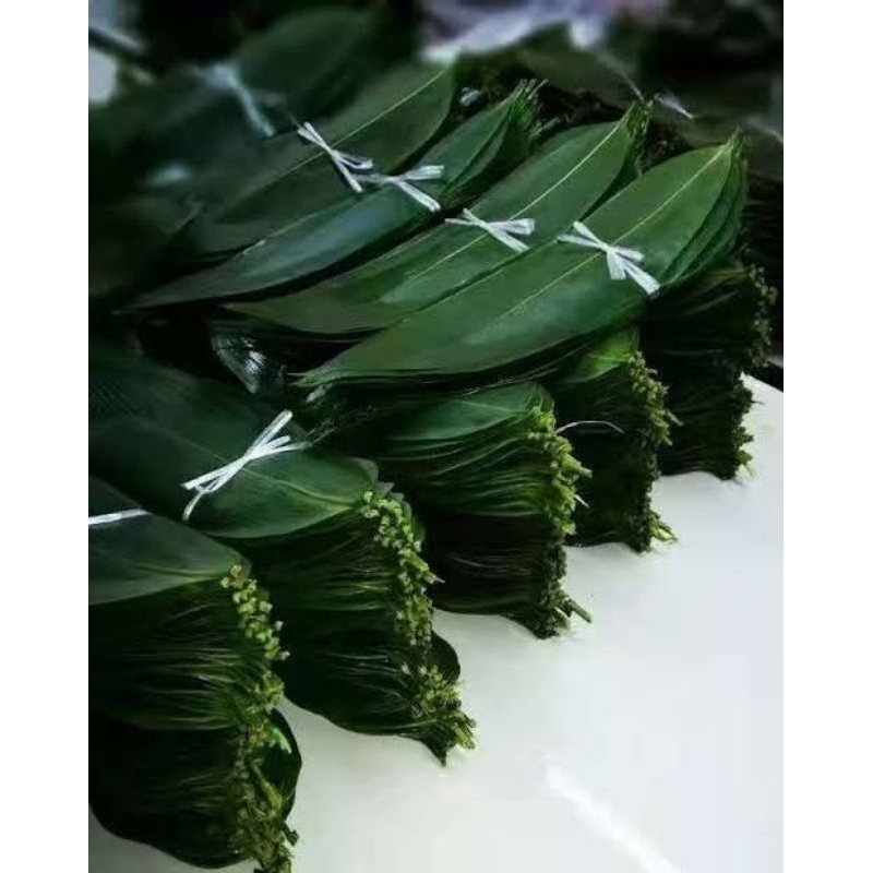 

Daun bambu bungkus bakcang bacang/Daun bambu muda segar 100pcs