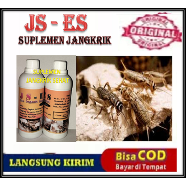 SUPLEMEN TERNAK JANGKRIK, BIO ORGANIK TERNAK JANGKRIK