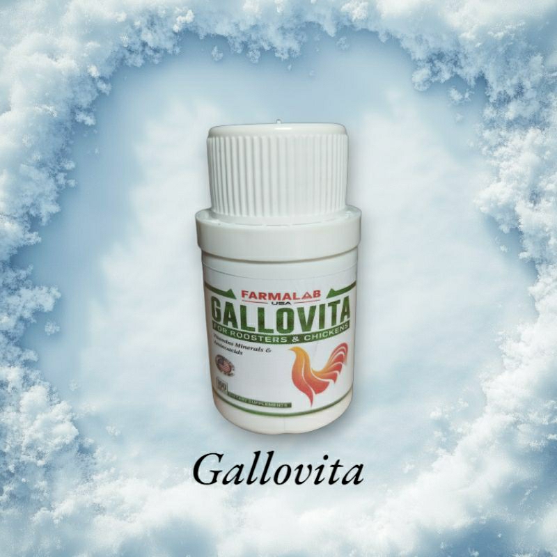 Vitamin Ayam Aduan | Gallovita Doping Ayam Aduan Isi 100 Tablet Asli Original Import