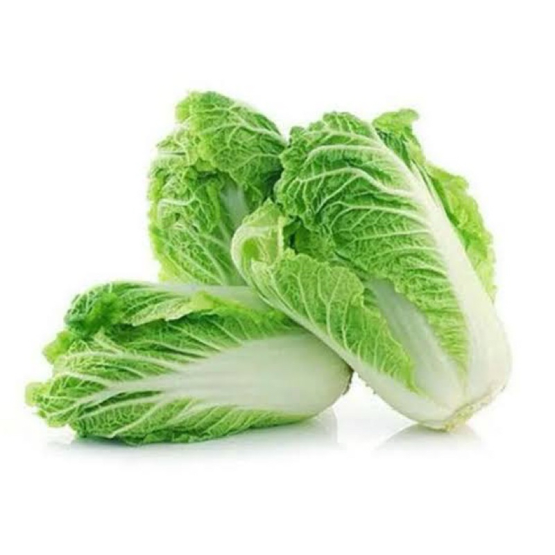 

SAWI PUTIH SEGAR FRESH HARGA PASAR