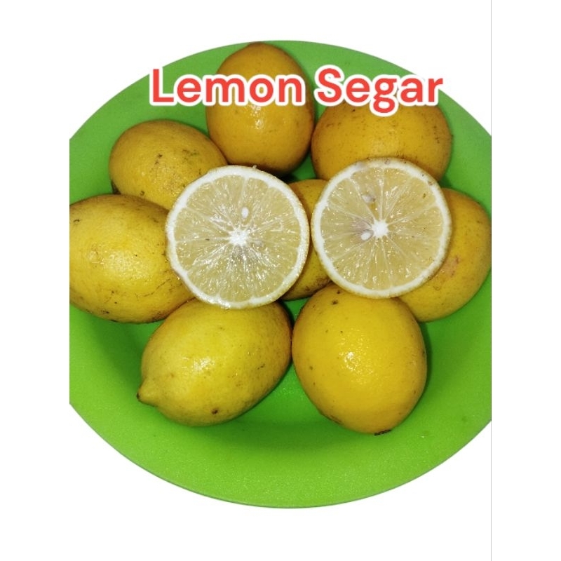 

jeruk lemon