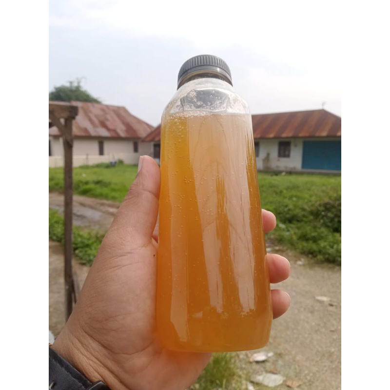 

madu hutan