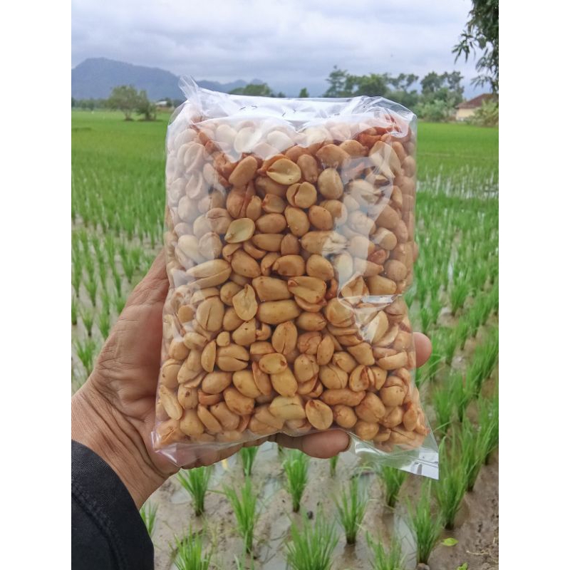 

Kacang gawil original 500 Gram