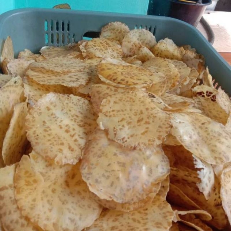 

EMPING JENGKOL MENTAH UKURAN BESAR Rp 22000 /100gr