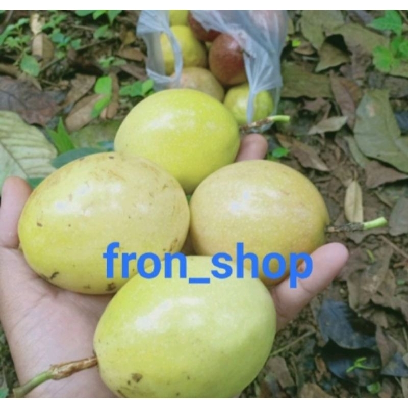 

markisa kuning segar freshh (promo) 1kg Termurah