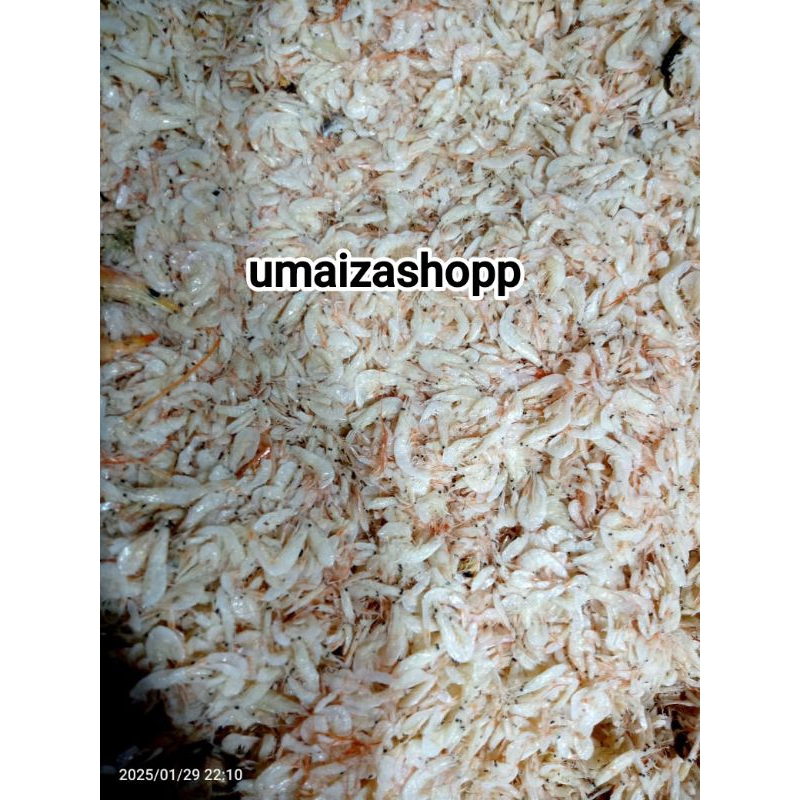 

Ikan asin Udang Rebon kemasan 500gr-1kg