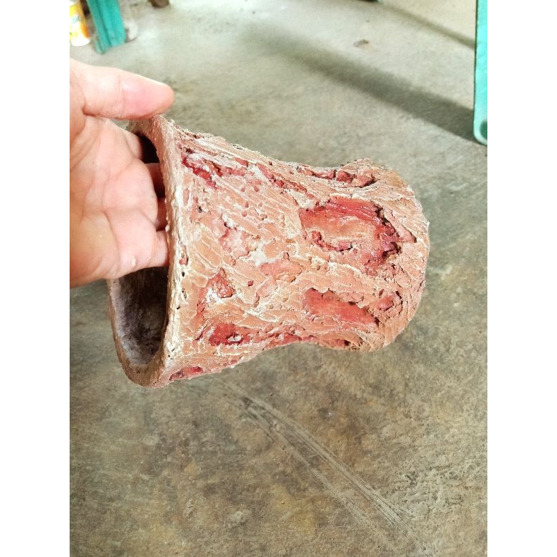 Pot relief tanaman hias. beton rangka. motif kayu