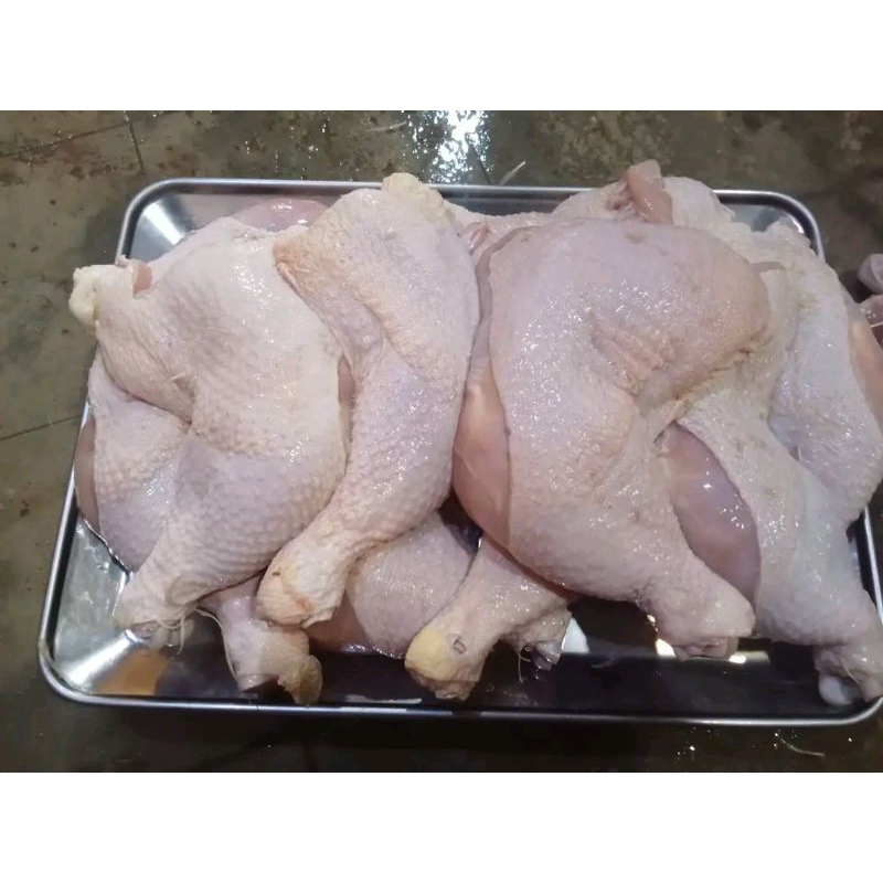 

AYAM FRESH DADA PAHA SAYAP 250gram-500gram