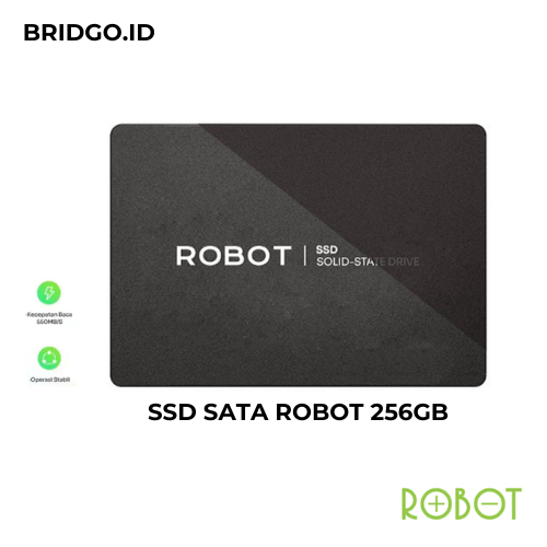 SSD SATA Solid State Drives 2.5" 256GB ROBOT Paket SSD Eksternal Bundling