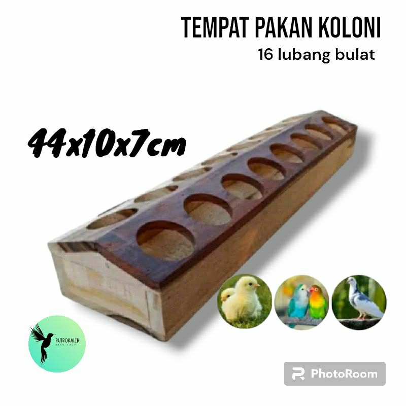 Tempat Pakan Koloni 16 Lubang Bulat wadah pakan burung puyuh dll