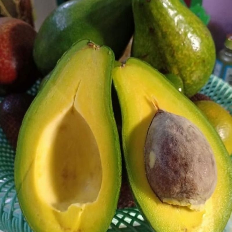 

Alpukat mentega jumbo Muria 1Kg isi 3 murah...