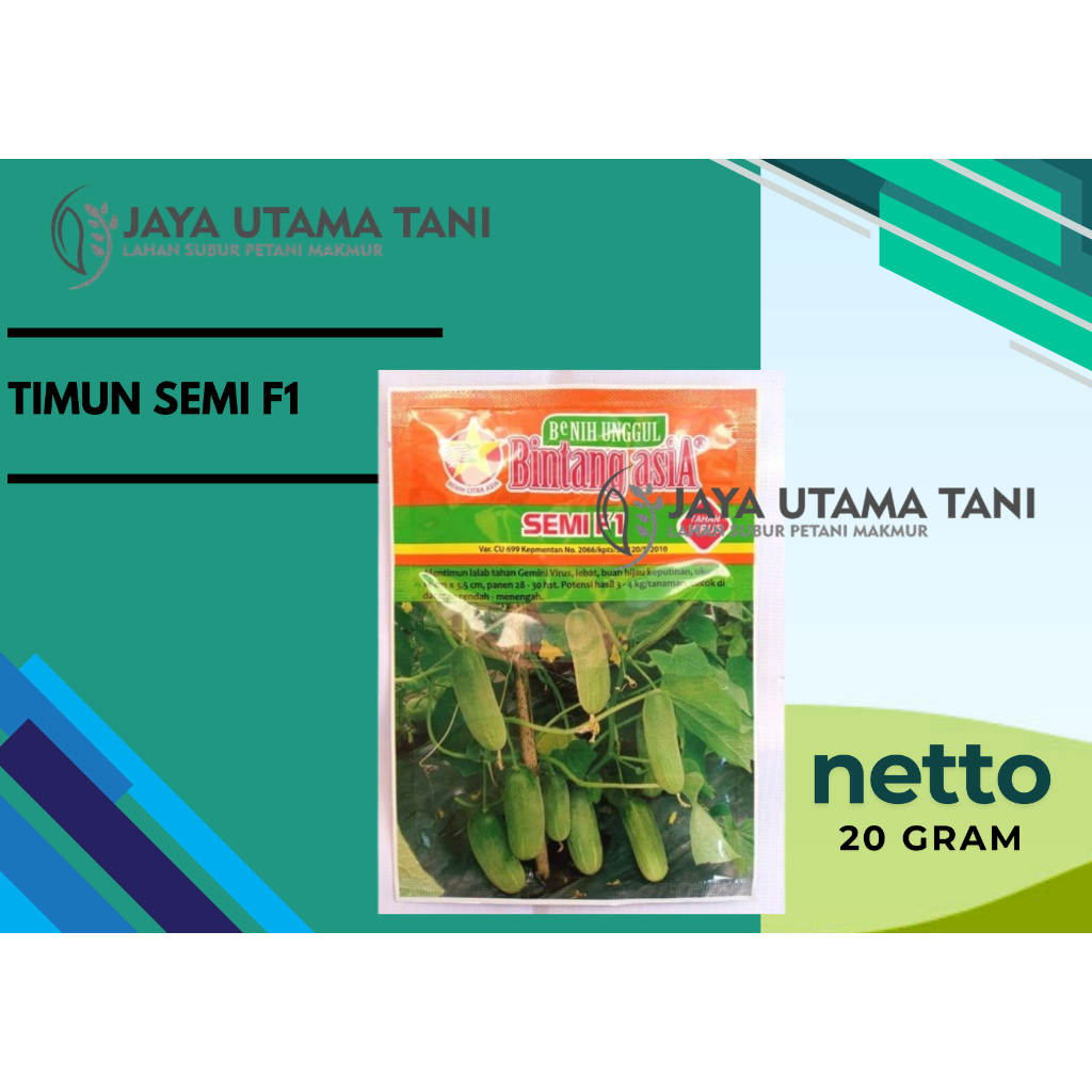 Benih Timun Semi F1 - Tahan Virus /Mentimun Semi F1 (20 Gram)