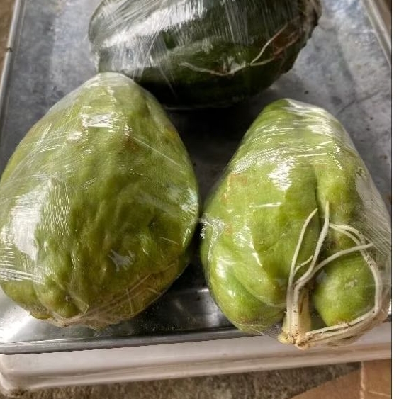 

Putri_Garden & Sayur Bibit labu Siam ORI 1pcs