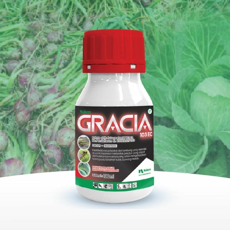 Gracia 103 EC