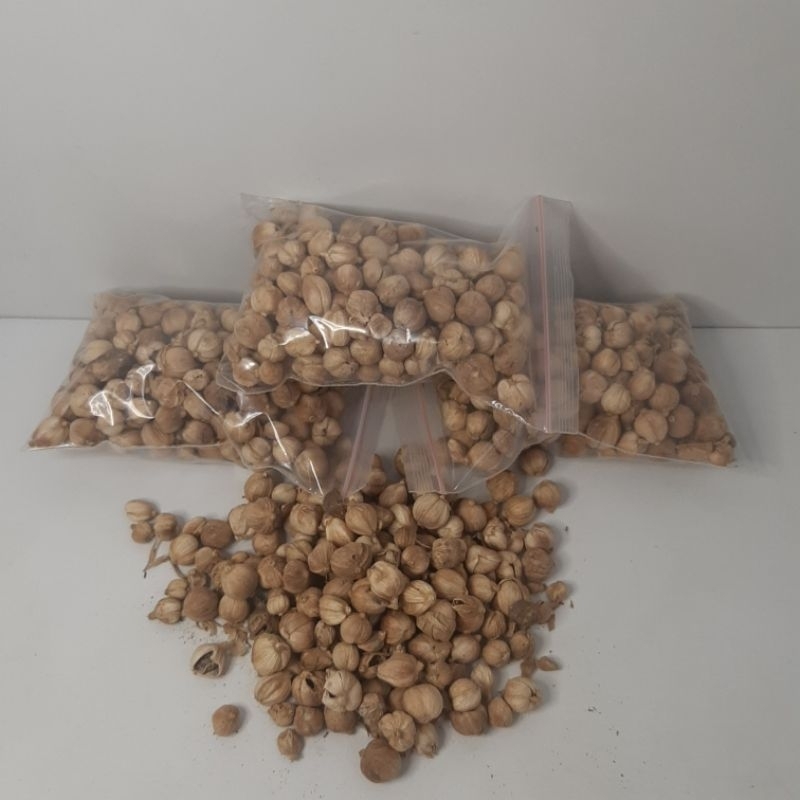 

50 Gram Kapulaga Bulat Kapulaga Putih