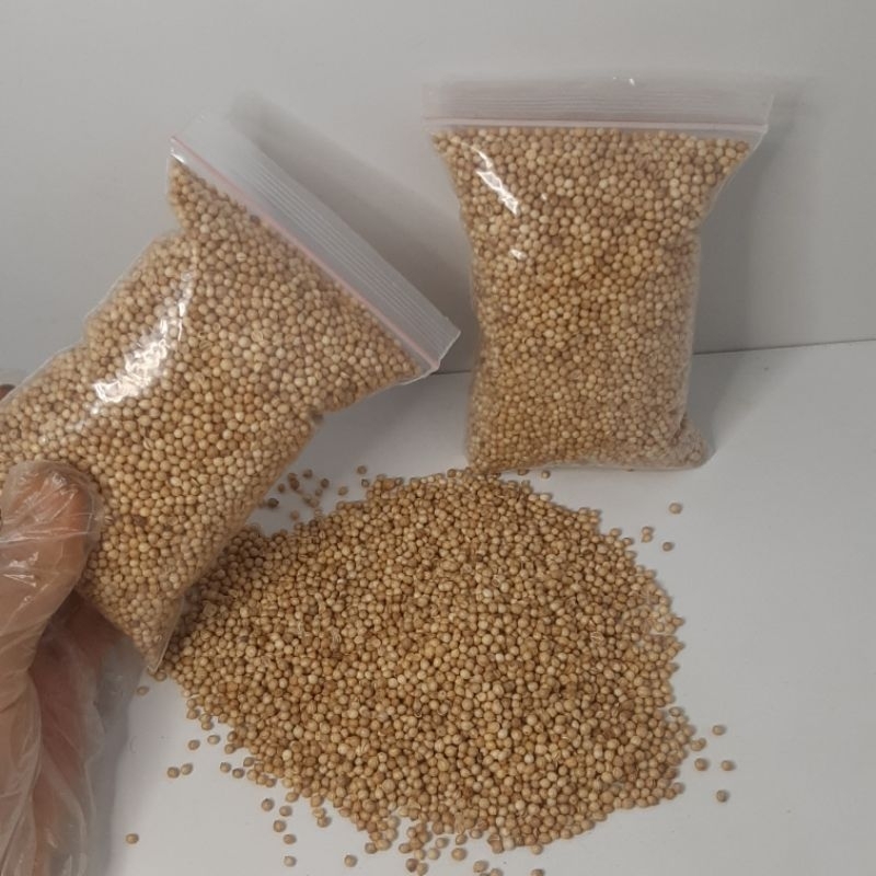 

Rempah Ketumbar Biji | Ketumbar Bulat 100 Gram