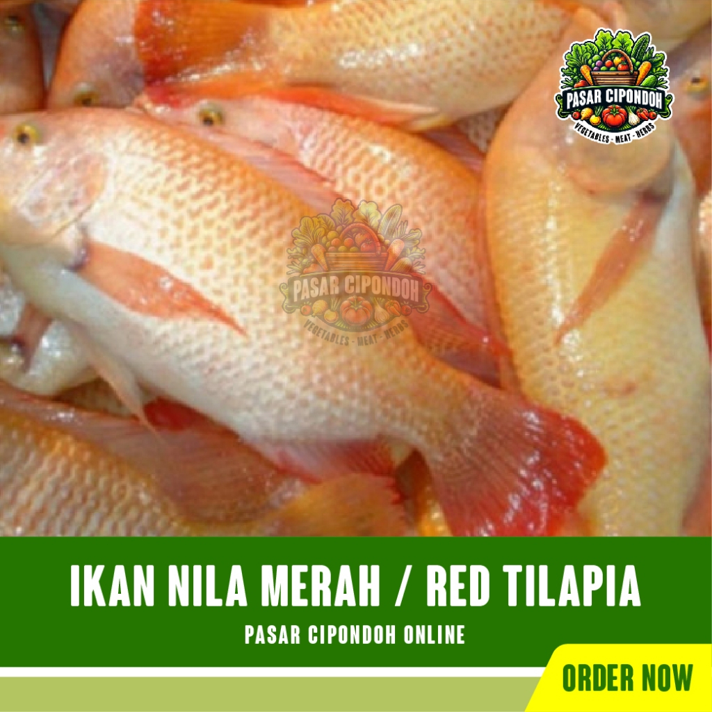 

Ikan Nila Merah Mentah Segar 500 gram / Red Tilapia - Pasar Cipondoh Tangerang