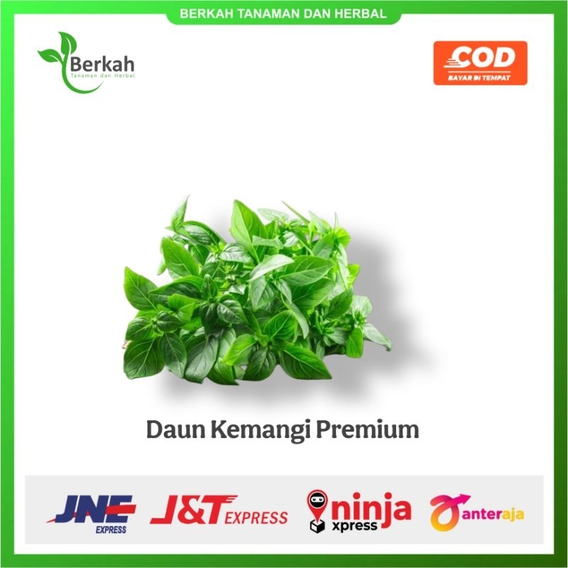 

Daun Kemangi Premium Fresh