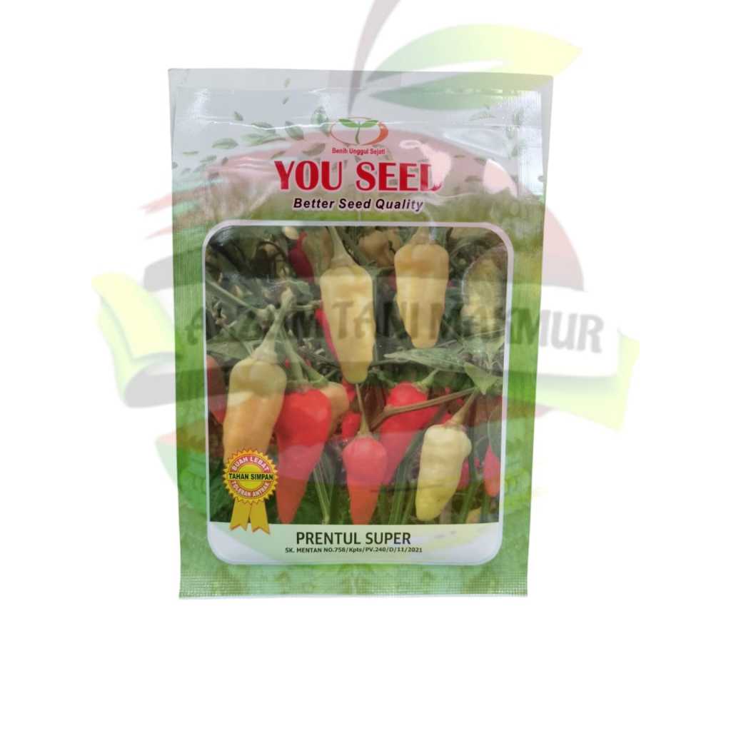 ID BENIH CABAI RAWIT PUTIH PRENTUL SUPER ISI 10 GRAM YOU SEED