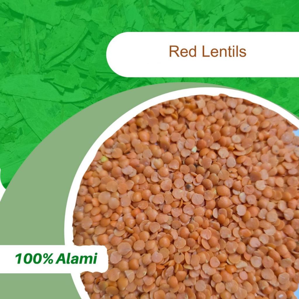 

100GR RED LENTILS / LENTIL MERAH ASLI 100%