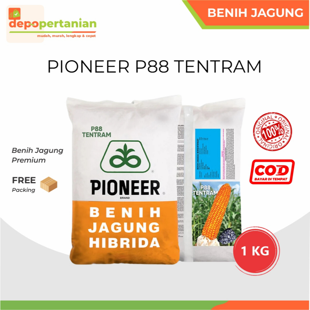 Depo Pertanian - Pioneer P88 Tentram Benih Jagung 1 KG