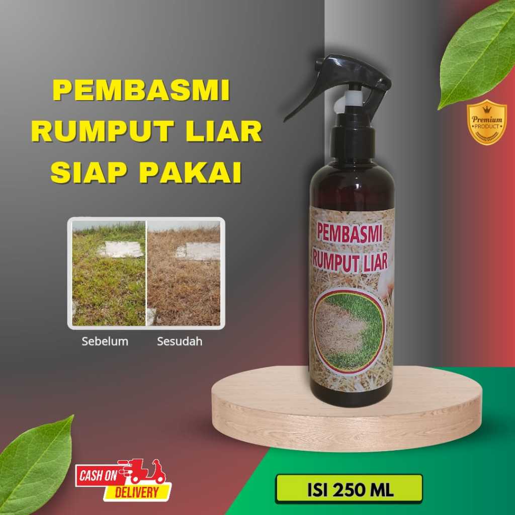 Spray Cairan Pembasmi Rumput Liar Dan Gulma / Obat Rumput Super Ampuh/ Racun Rumput Liar Isi 250 ml