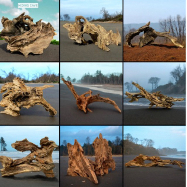 Ay00 Kayu Rentek Size Kecil / Hiasan Aquarium Ikan dan Reptil / Dekorasi Tanaman Hias / Background