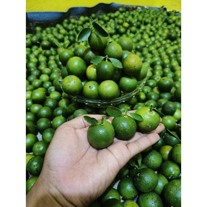 

jeruk peras kacing/jeruk Sunkist 1kg termurah