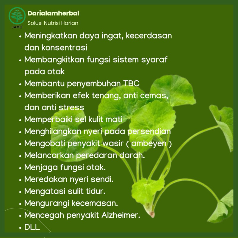[Whispers] Kapsul Herbal PEGAGAN isi 100 kapsul Kapsul Sejuta manfaat asli 100% Pegagan Alami
