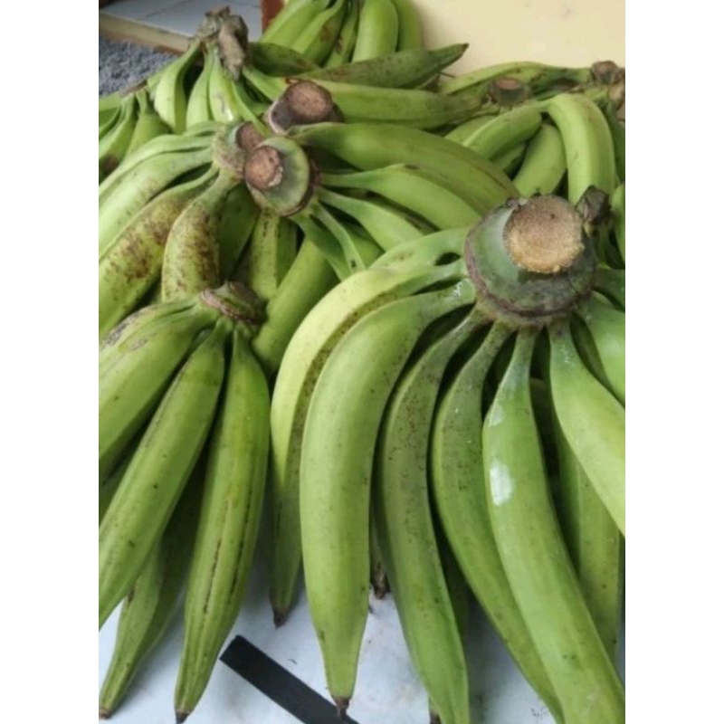 

Pisang Tanduk asli sukabumi Fresh 1 Pc
