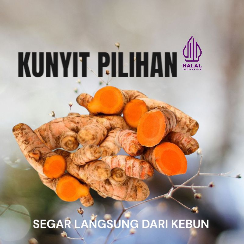 

Kunyit Segar Kunyit.AB berkualitas termurah 1kg