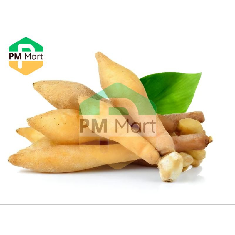 

Temu Kunci Segar 50 Gram