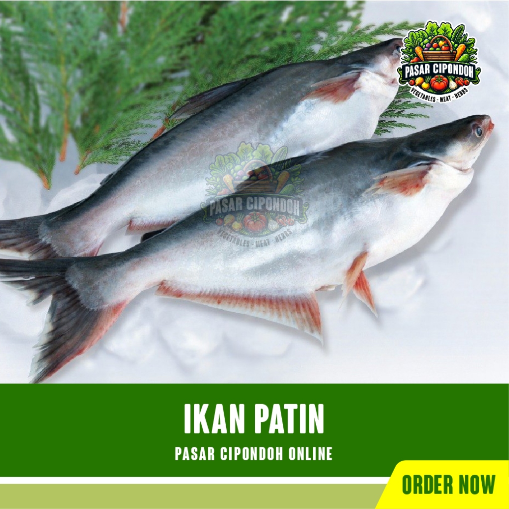 

Ikan Patin Mentah Segar 500 gram - Pasar Cipondoh Tangerang