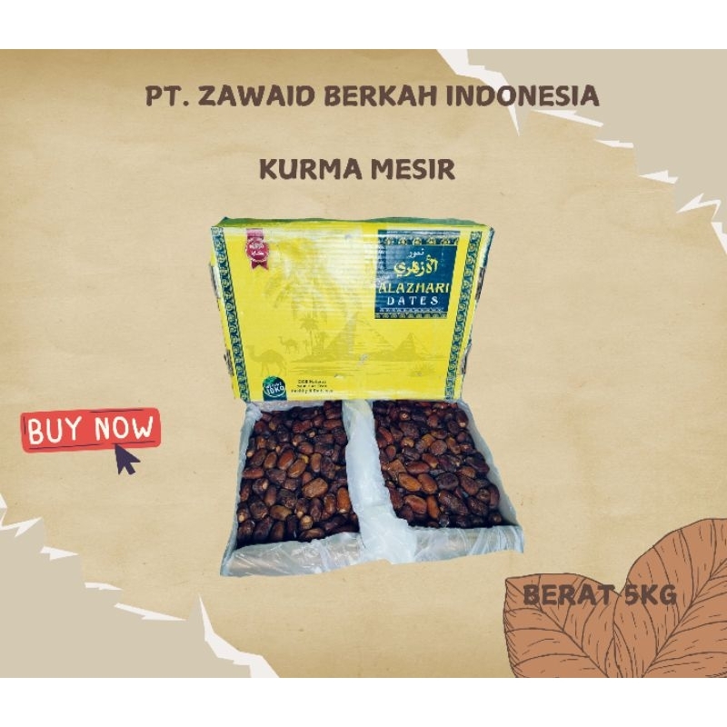 

READY KURMA MESIR KEMASAN 10KG