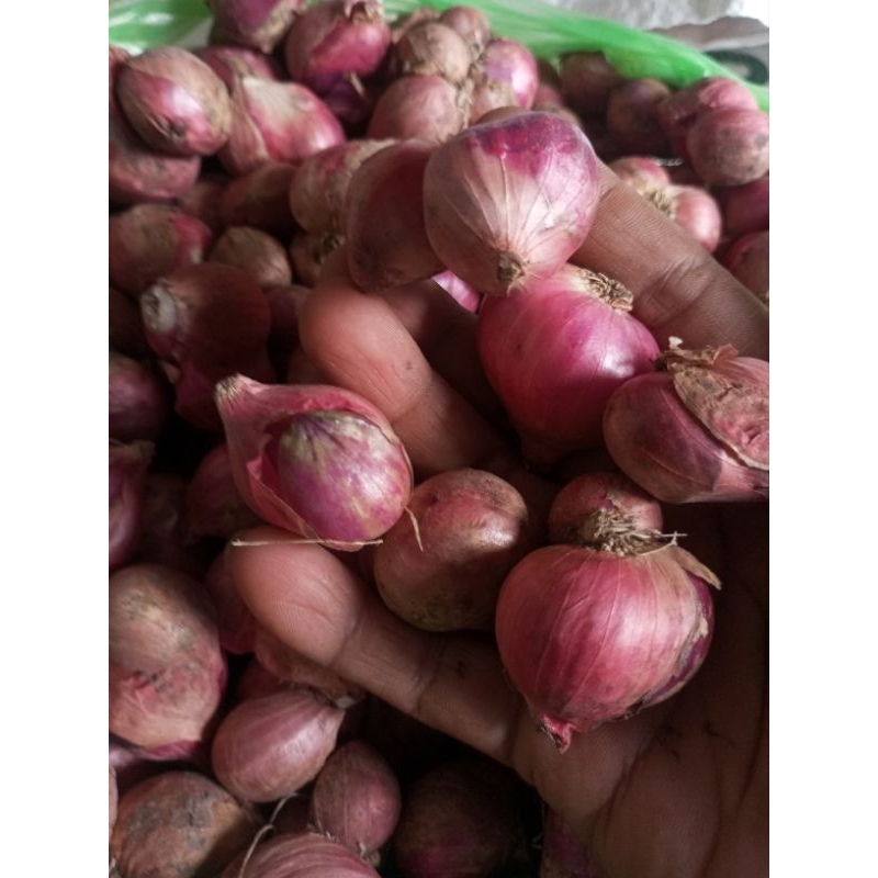 

bawang merah superan 1kg