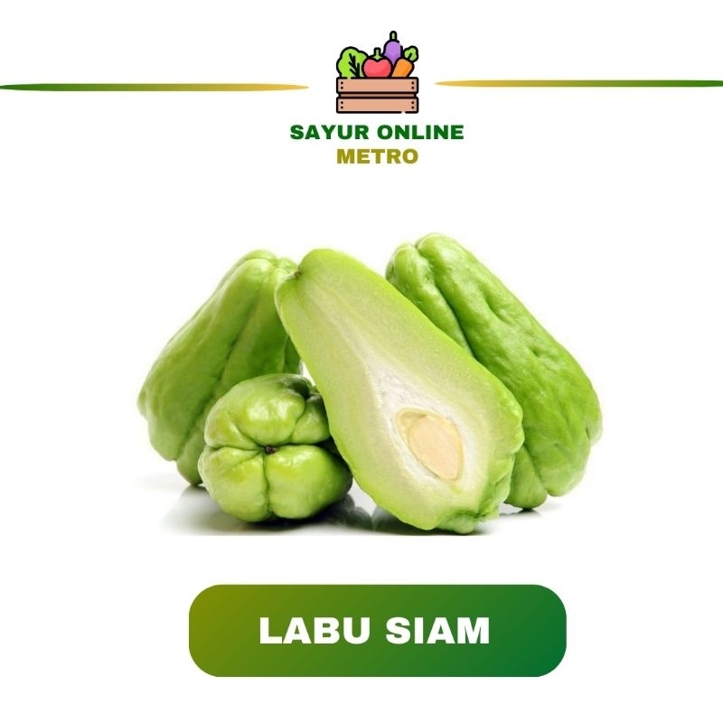 

Labu Siam Segar 500 gr - Sayur Online Metro