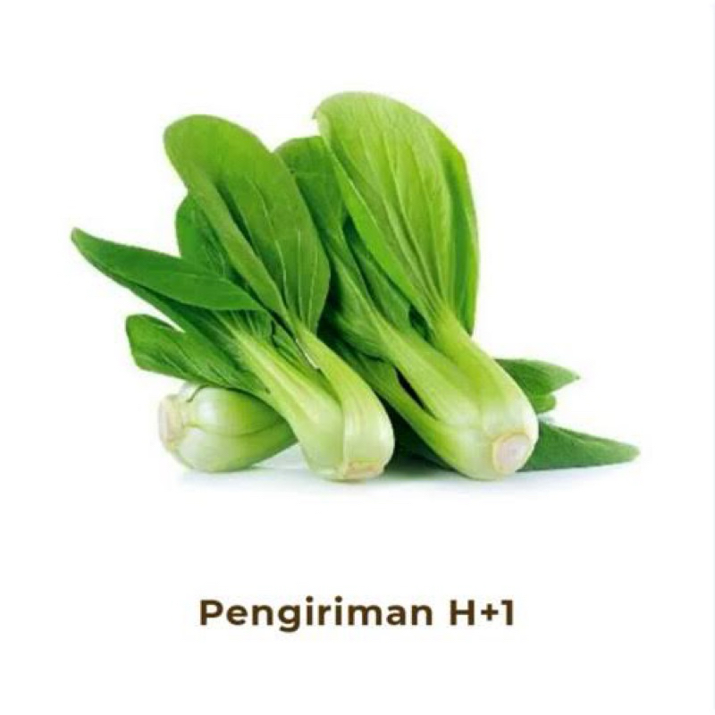

Sayur Pakcoy Fresh 1kg