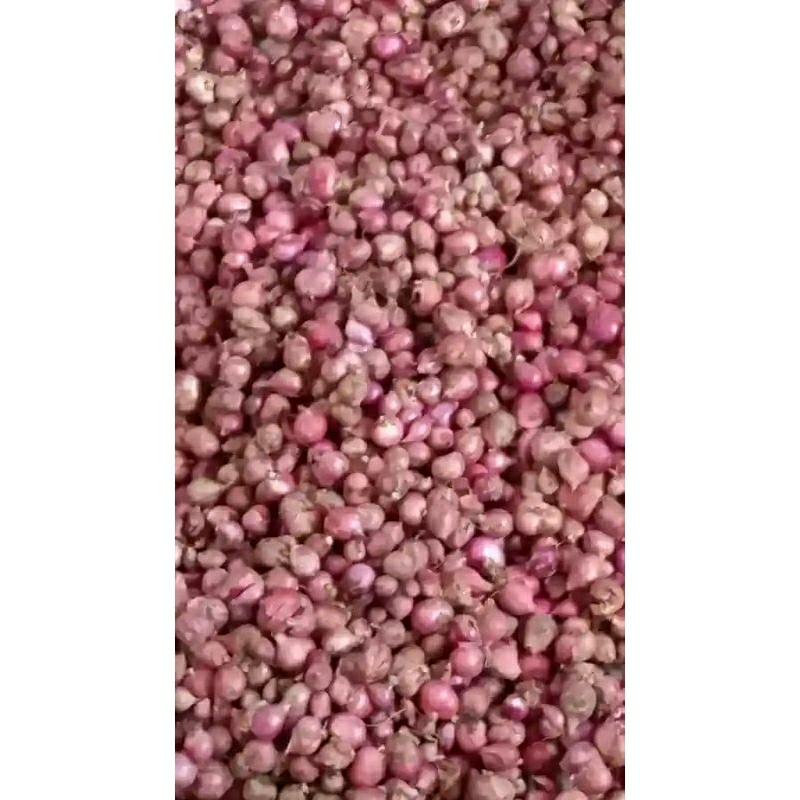 

Bawang merah kecilan 1kg