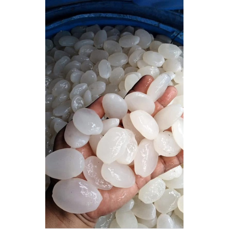 

kolang-kaling asli 20rb/kg