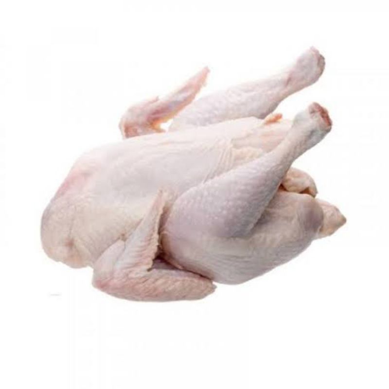 

ayam broiler frozen karkas size A ||| 900-1000gr