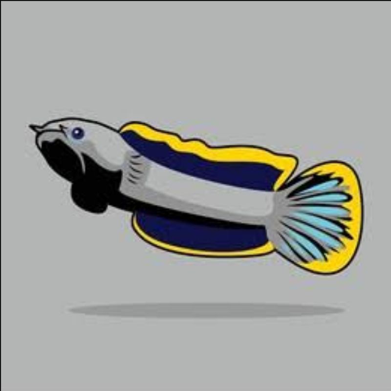 sticker limbata lawu